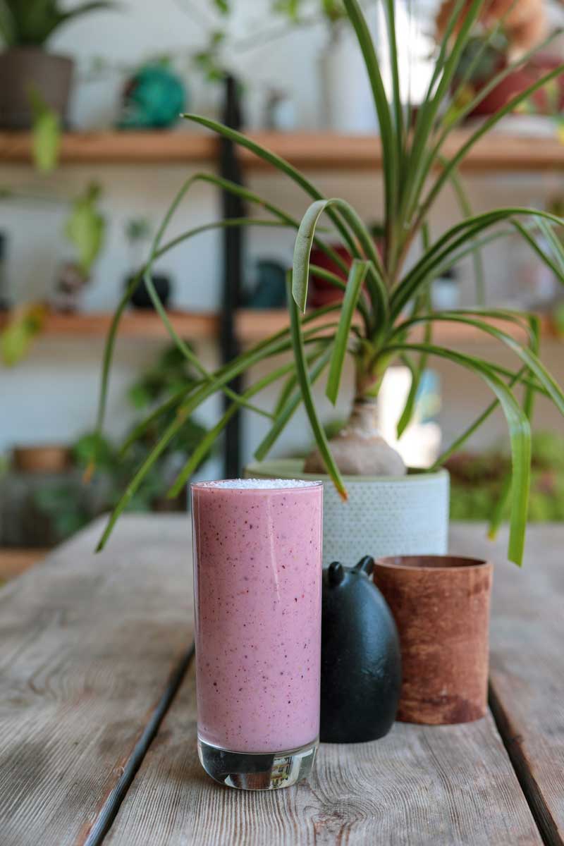 Beerenshake auf Tisch mit Pflanze im Hintergrund