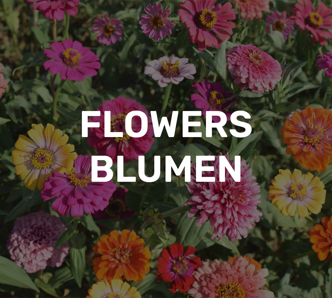Blumen