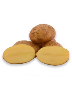 Baby Kartoffel