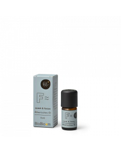Bio Aromatherapie mit Hanfterpenen - scent and focus 5ml