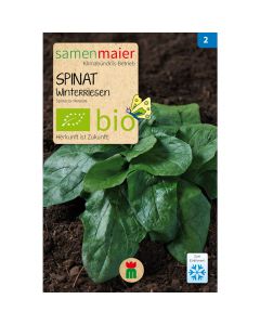 Bio Spinat Winterriesen - 5 g Saatgut