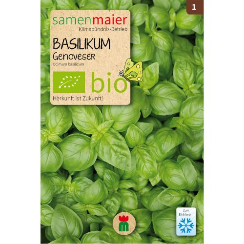 BIO 120 Basilikum Samen basilicum  Kräuter Saatgut Küchenkräuter