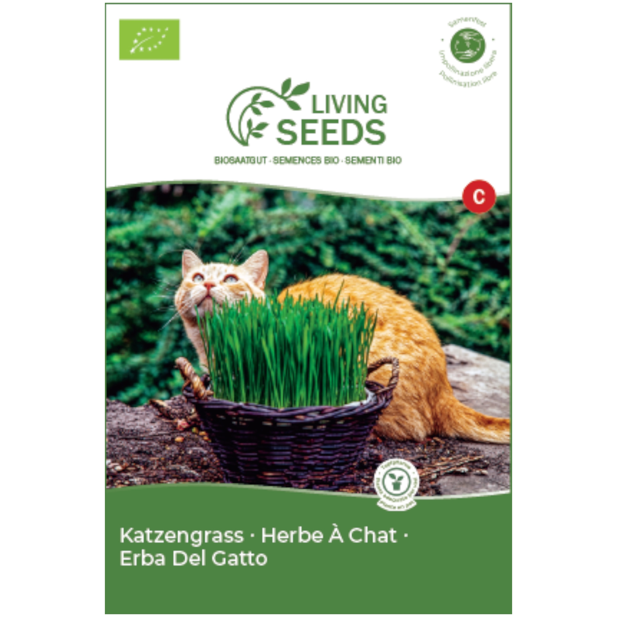spitzwegerich saatgut Seedeo Spitzwegerich (Plantago lanceolata) 300 Samen BIO