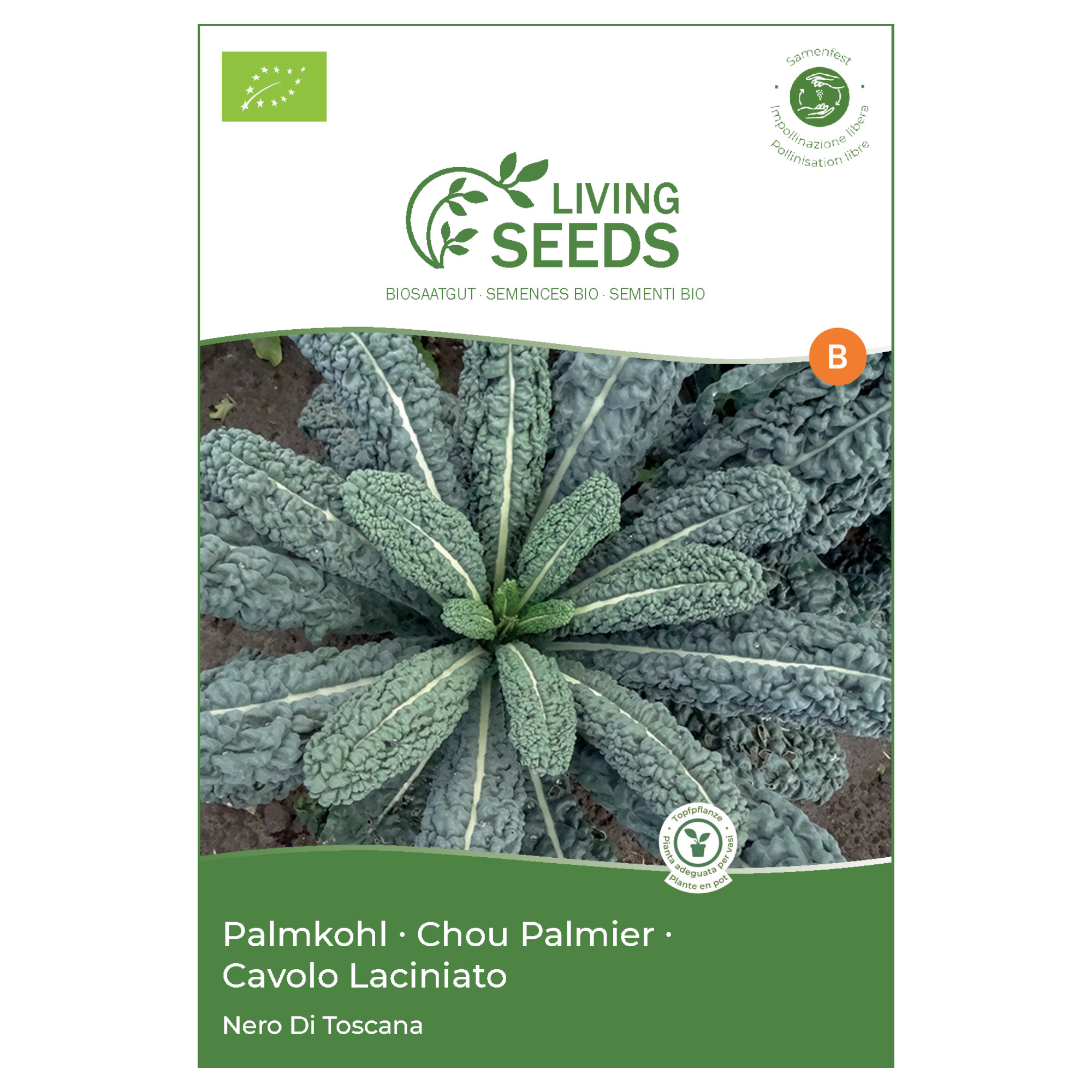 Bio Kichererbse Principe 13.6g Saatgut von Living Seeds jetzt online kaufen!
